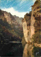48 - Les Gorges Du Tarn - Reflets Dans La Rivière - CPM - Voir Scans Recto-Verso - Gorges Du Tarn