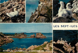 22 - Les Sept Iles - Réserve Naturelle D'Oiseaux De Mer - Multivues - Oiseaux - Fou De Bassan - CPM - Voir Scans Recto-V - Sonstige & Ohne Zuordnung