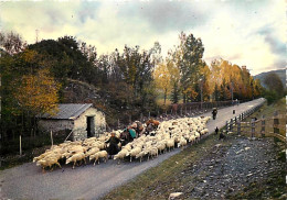 Animaux - Moutons - Transhumance - Retour De Le Montagne - Bergère Et Son Troupeau - CPM - Voir Scans Recto-Verso - Otros & Sin Clasificación