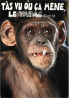Animaux - Singes - Chimpanzé - Carte à Message - Tabac - CPM - Voir Scans Recto-Verso - Monkeys