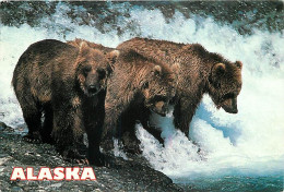 Animaux - Ours - Ours Brun - Alaska - Peche Au Saumon - Bear - CPM - Voir Scans Recto-Verso - Bären