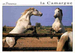 Animaux - Chevaux - Camargue - Chevaux Camarguais - Flamme Postale - Voir Scans Recto Verso  - Pferde