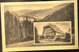 1927. Bärental In Schwarzwald. Gasthaus Zum Adler. - Feldberg