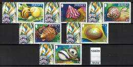 Jersey - 2006 - MNH - Marine Life, Sea Shells, Coquillages - Jersey