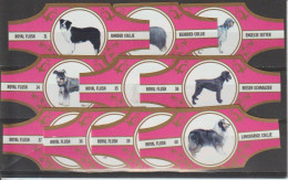 Reeks 2437  Honden      1-10      ,10   Stuks Compleet      , Sigarenbanden Vitolas , Etiquette - Sigarenbandjes