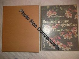 Sommergrüne Ziergehölze - 280 Abb - Other & Unclassified