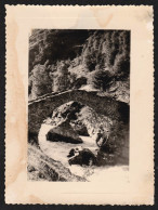 Jolie Photo 1953 De Famille Du Pont De Champhorent, Pont Des Rajas, Oisans, Alpes, St Christophe En Oisans 10,7x8cm - Orte