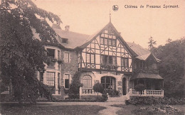 Chateau De Presseux Sprimont - Sprimont