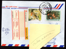 Syrie Syria Enveloppe Cover Letter En Recommandé De Damas N° 1048 Oiseau Rouge-gorge N° 1000 Mandarine - Syrien