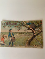 A49-La Bretagne La Cueillette Des Pommes - Autres & Non Classés