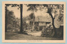 Cambodge - Habitation Indigène - Circulé 1931 - Cambogia