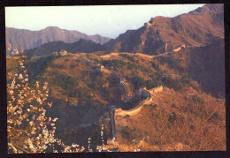 AK 212314 CHINA - Great Wall - Cina