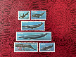 SWA 1980 SUD OUEST AFRICAIN 6v Neuf MNH ** Mi 466 471 YT 423 428 Dolphin Golfinho Delfin Delfino SOUTH WEST AFRICA - Balene