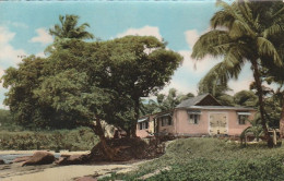 Guyane - Villa De Campagne  Arbres De La Plage - Autres & Non Classés