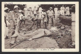 Delcampe - CPA Pêche Requin Conakry Non Circulé - Fischerei