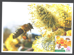 Moldova , 2024 , World Bee Day , Insects, Honeybees ,maxicard - Abeilles