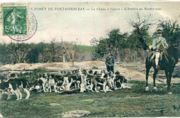 77 - Fontainebleau : Chasse à Courre - L' Arrivée Au Rendez-vous - Fontainebleau