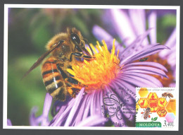 Moldova , 2024 , World Bee Day , Insects, Honeybees , Maxicard - Honingbijen