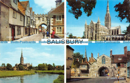 R071604 Salisbury. Multi View. Salmon. 1980 - Monde