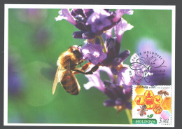 Moldova , 2024 , World Bee Day , Maxicard - Moldavia