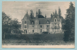 SAINT-CYR-SUR-LOIRE - Château De Palluau (Façade Ouest) - Saint-Cyr-sur-Loire