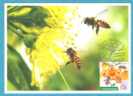Moldova , 2024 , World Bee Day , Maxicard - Moldavië