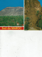 MAROC  SUD TINGHIR LES GORGES DU TOUDRA LA PALMERAIE DE ERFOUD /89 - Other & Unclassified