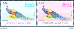 Fauna. Uccelli. Pavone 1976. - Pakistán