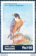 Fauna. Falco 1986. - Pakistán