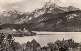 Blick Auf Weißensee Mit Strausberg U8nd Säuling, Füssen, Um 1950 - Fuessen