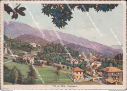Cm638 Cartolina Viu' Panorama Provincia Di Torino Piemonte 1941 - Altri & Non Classificati