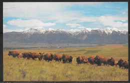 Montana, National Buffalo Range, Unused - Andere & Zonder Classificatie