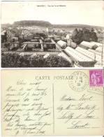 77 - THOMERY - Vue Des Serres Salomon - Other & Unclassified