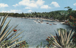 Martinique -  Le Quai Et La Plage De L'Auberge - Sonstige & Ohne Zuordnung