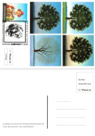Osterreich - Postkarte - Ersttag J.Bramer Marke - Other & Unclassified