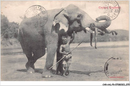 CAR-AALP6-SRILANKA-0514 - Ceylon Elephants  - Sri Lanka (Ceylon)