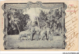 CAR-AALP6-SRILANKA-0513 - Ceylon Elephants  - Sri Lanka (Ceylon)