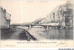 CAR-AALP10-BELGIQUE-0847 - Bords De La Meuse . Le Pont De Dinant Vu De Neffe - Dinant