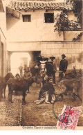 Espagne - N°65152 - CORDOBA - Tipos Y Costumbres - Agriculture - Troupeau De Chèvres - Córdoba