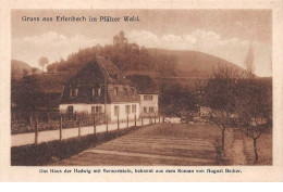 Allemagne.Suisse - N°60828 - Gruss Aus Erlenbach Im Plälzer Wald - Das Haus Der Hedwig ... Von August Becker - Te Identificeren