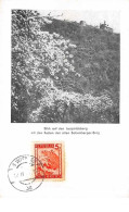 Autriche.n°57800.blick Auf Den Leopoldsberg.carte Maximum - Other & Unclassified