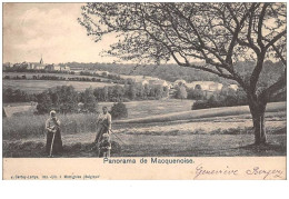 Belgique. N°47523 . Macquenoise.panorama - Momignies
