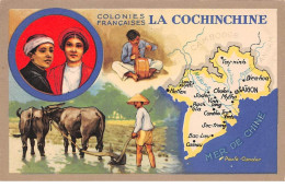 Viêt-Nam - N°68826 - Colonies Françaises La Cochinchine - Edition Spéciale Des Produits Chimiques Lion Noir - Vietnam