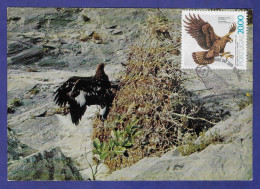 Portugal  1980 Mi.Nr. 1493 , Europäische Artenschutzkampagne / Steinadler - Maximum Card - Lisboa 6. Mai1980 - Maximumkaarten