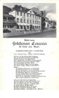 Allemagne - N°67427 - SAINT-GOAR - Hotel Zum Goldenen Loewen - St. Goar