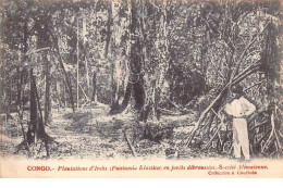 Congo Français - N°61540 - Plantations D'Irechs (Funtumia Elastica) En Forêts Débroussés - Société Alimaïnne - Französisch-Kongo