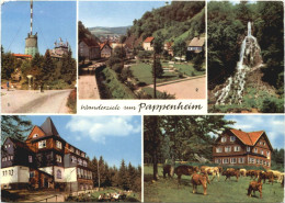 Wanderziele Um Pappenheim, Div. Bilder - Pappenheim