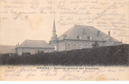 Belgique - N°75987 - HAACHT - Noviciat Général Des Ursulines - Haacht