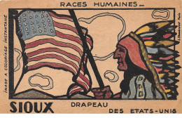 Etats-Unis - N°73937 - Races Humaines Sioux - Drapeau Des Etats-Unis - Carte Publicitaire Phosphatine - Other & Unclassified