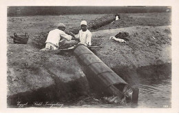 Egypte - N°72290 - Field Irrigating - Hommes Travaillant Au Bord De L'eau - Carte Photo - Andere & Zonder Classificatie